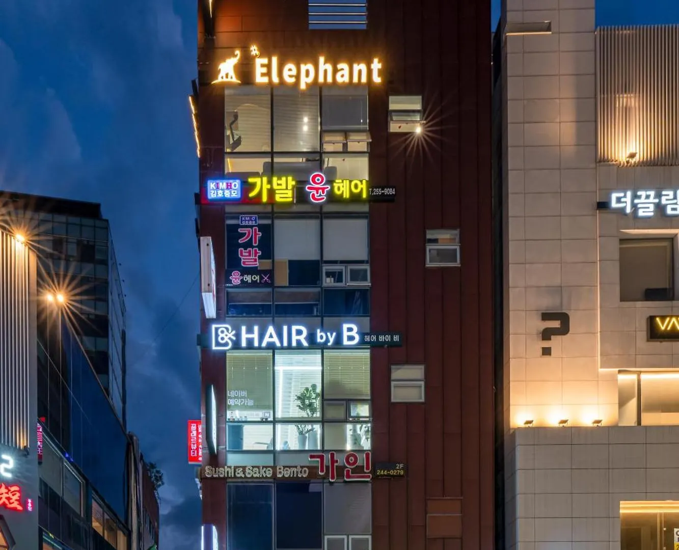 Elephant Busan